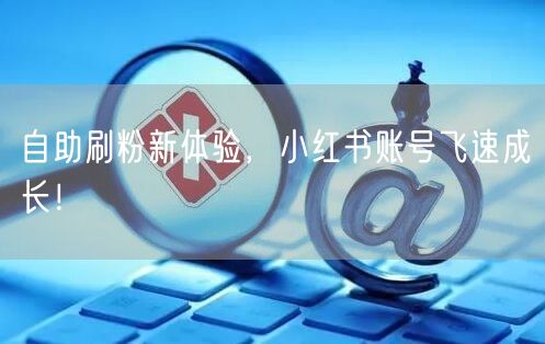 自助刷粉新体验，小红书账号飞速成长！