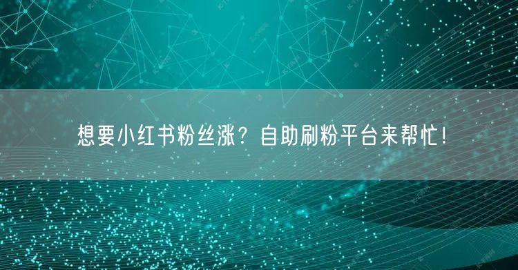 想要小红书粉丝涨？自助刷粉平台来帮忙！