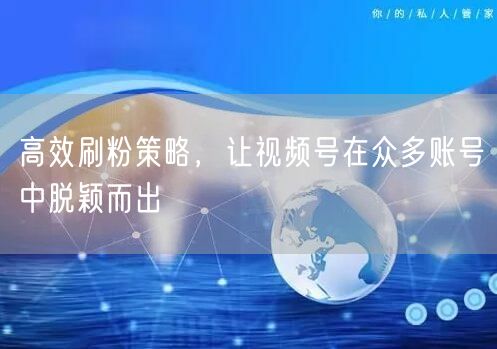 高效刷粉策略，让视频号在众多账号中脱颖而